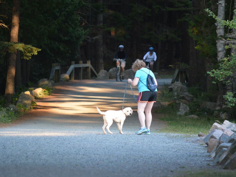 bikers-dog-walker-carriage-road-macquinn